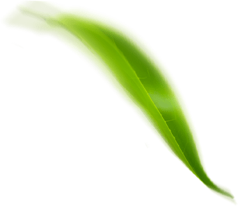 3Ciclos