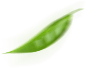3Ciclos