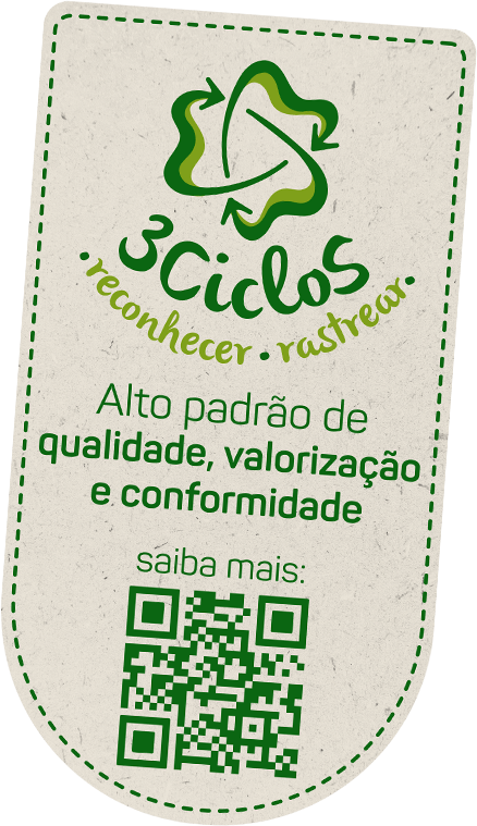 Seo 3Ciclos - Reconhecer